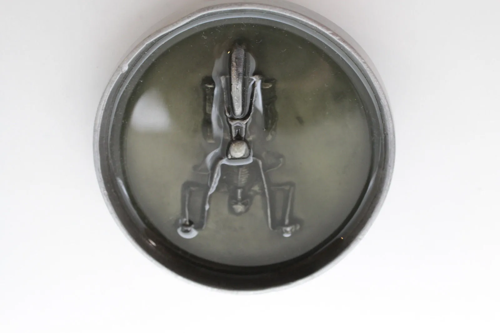 Belt Buckle Silver Metal Grey Skeleton Skull Motorcycle Biker Bones Men