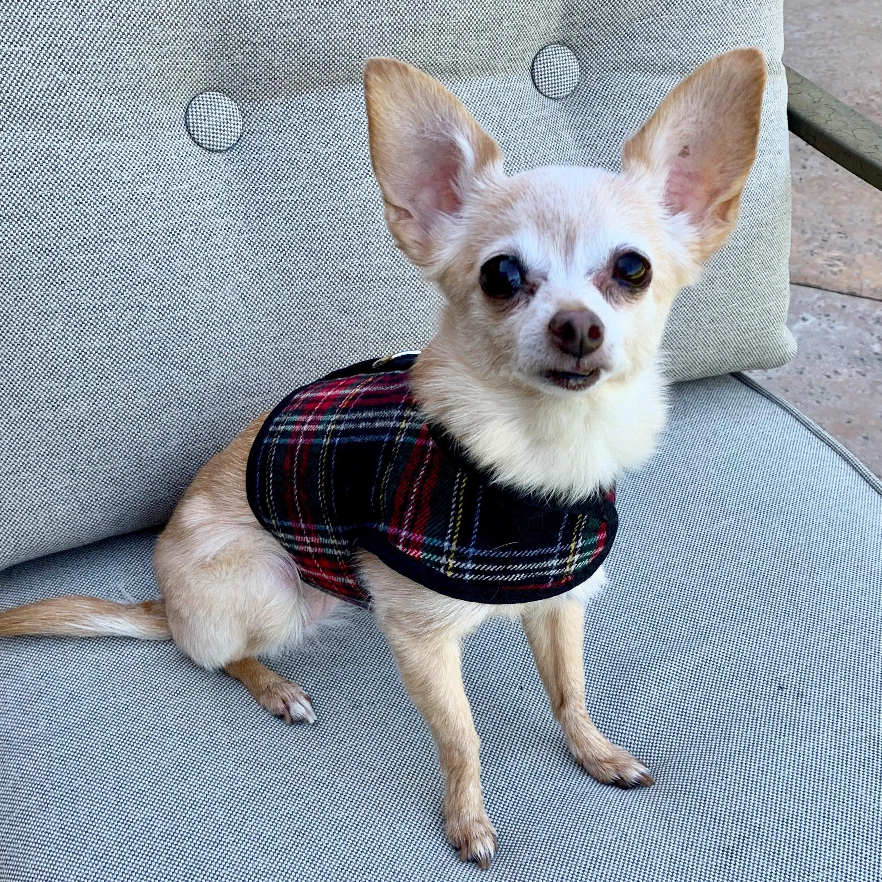 Black & Red Plaid Brushed Cotton Dog Cat Vest Harness
