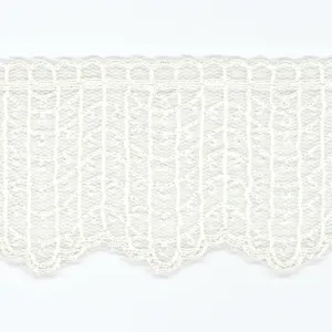 Embroidered Tulle Lace #00 Off White