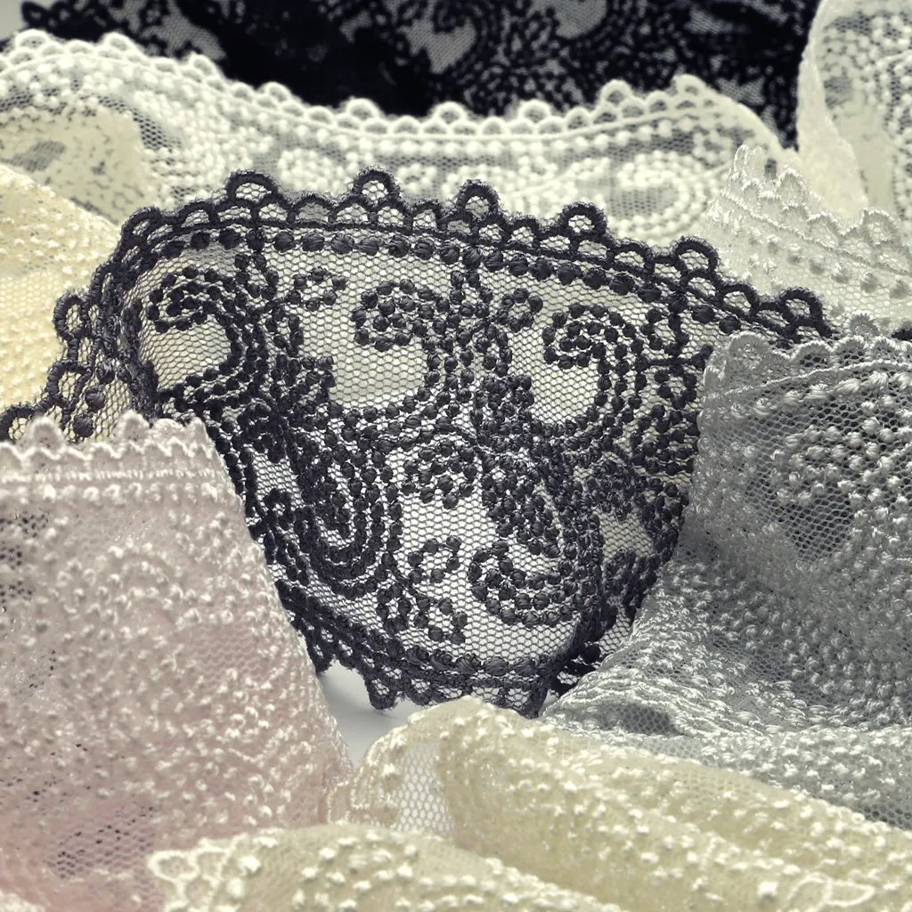 Embroidered Tulle Lace #00 Off White