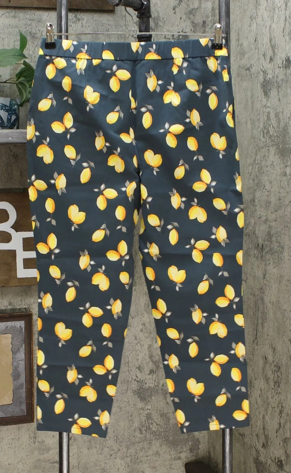 NWT Lemon Way Petite Flawless Twill Pull-On Ankle Pants 6P 8P