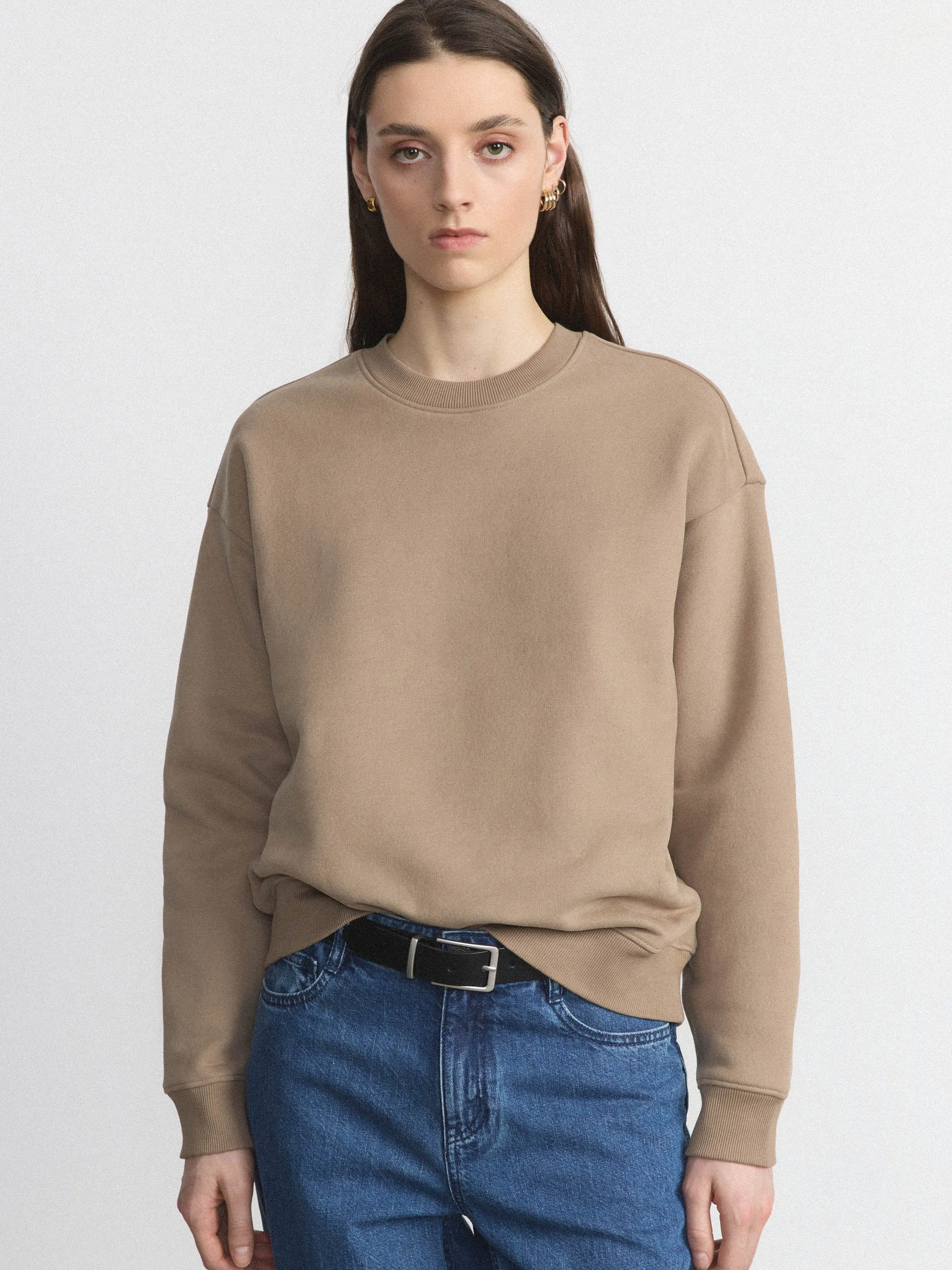 The Soft Crewneck Sweatshirt in Greige