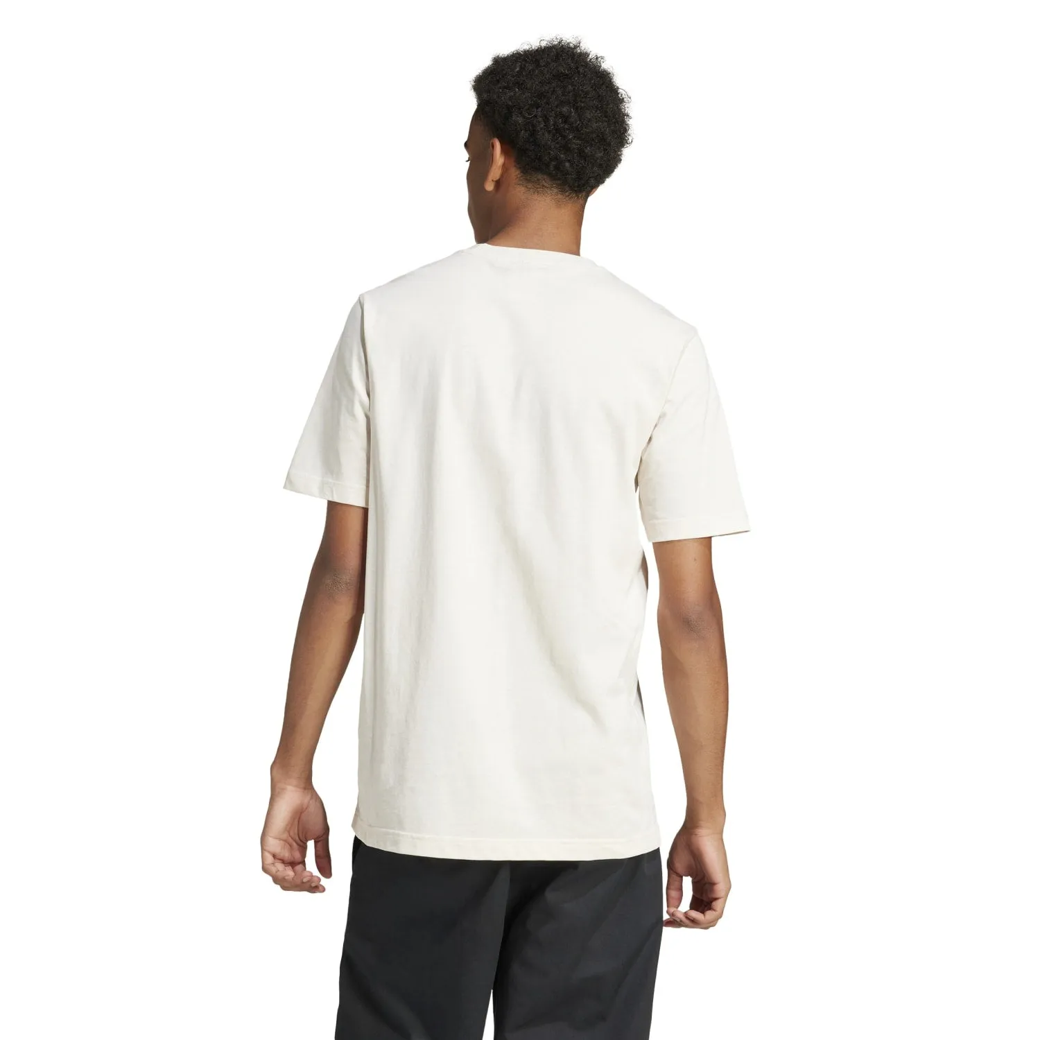 Trefoil Tee - Mens